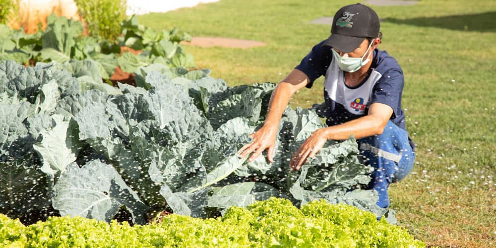 Horta própria da Fardas Uniformes